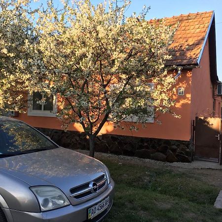 Sadyba U Mykhaila Koson Exterior foto