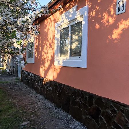 Sadyba U Mykhaila Koson Exterior foto